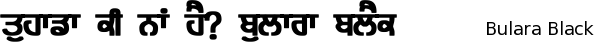 Bulara_Black font gurmukhi free download