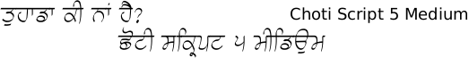 Gurmukhi font Choti Script free download