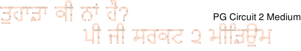 PG Circuit 2 Medium Gurmukhi free download