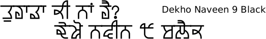 Dekho Naveen font gurmukhi free download