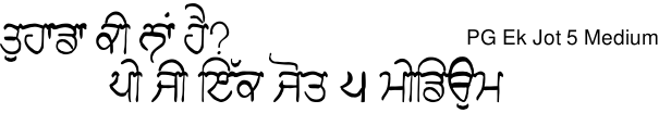 PG Ek Jot 5 Medium Gurmukhi free download