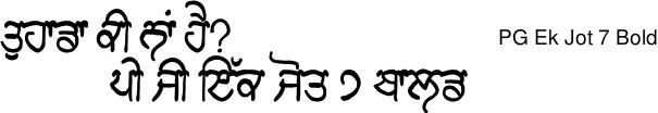 PG Ek Jot 7 Bold Gurmukhi free download