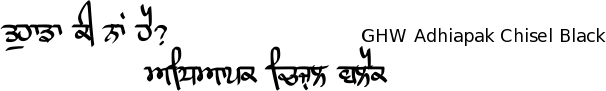 Gurmukhi Hand-Written font Adhiapak free download