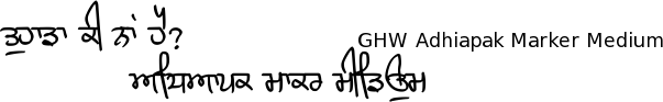 Gurmukhi Hand-Written font Adhiapak free download