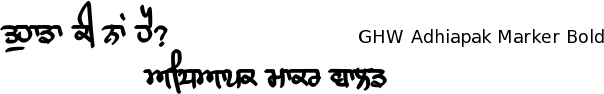 Gurmukhi Hand-Written font Adhiapak free download