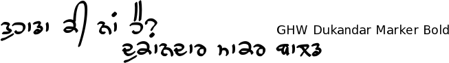 Gurmukhi Hand-Written Marker Bold font Dukandar free download