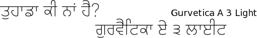 Gurvetica A3 font gurmukhi free download