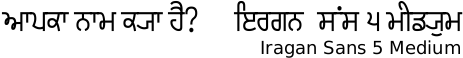 Iragan sans Light font Devanagari/Gurmukhi free download