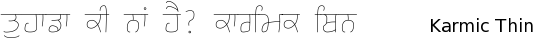 Karmic-Sanj_Thin font gurmukhi free download