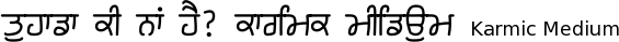 Karmic-Sanj_Medium font gurmukhi free download