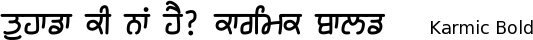 Karmic-Sanj_Bold font gurmukhi free download