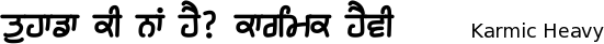 Karmic-Sanj_Heavy font gurmukhi free download