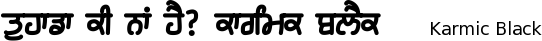 Karmic-Sanj_Black font gurmukhi free download