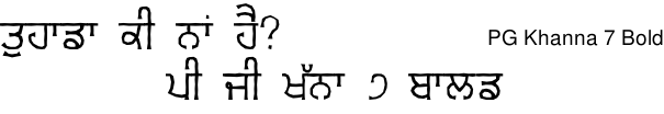 PG Khanna 7 Bold Gurmukhi free download