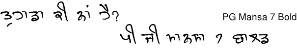 PG Mansa 7 Bold Gurmukhi free download