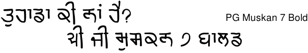 PG Muskan 7 Bold Gurmukhi free download