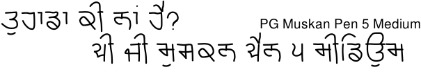 PG Muskan Pen 5 Medium Gurmukhi free download