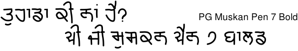 PG Muskan Pen 7 Bold Gurmukhi free download