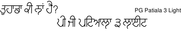 PG Patiala 3 Light Gurmukhi free download