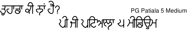 PG Patiala 5 Medium Gurmukhi free download