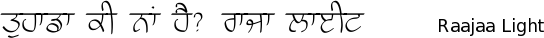 Raajaa_light font gurmukhi free download