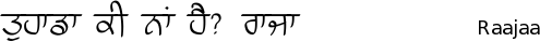 Raajaa font gurmukhi free download