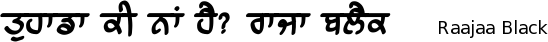 Raajaa_Black font gurmukhi free download