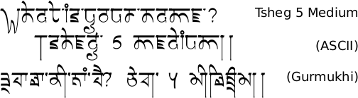 Tsheg 5 Medium font Gurmukhi free download