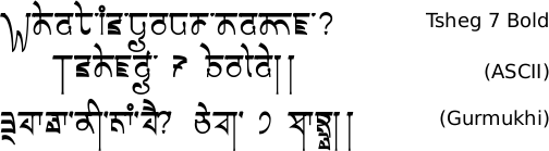 Tsheg 7 Bold font Gurmukhi free download