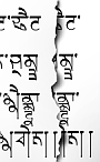 Tsheg - Tibetan-style Gurmukhi t-shirt/tattoo font - free download