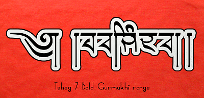 This is the Tsheg Truetype Font on a t-shirt showing two versions of Latin and one of Gurmukhi.