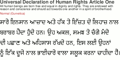 udhr in various fonts as a comparison